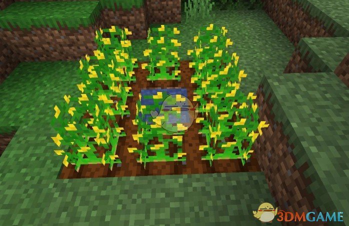 《我的世界》花生MOD