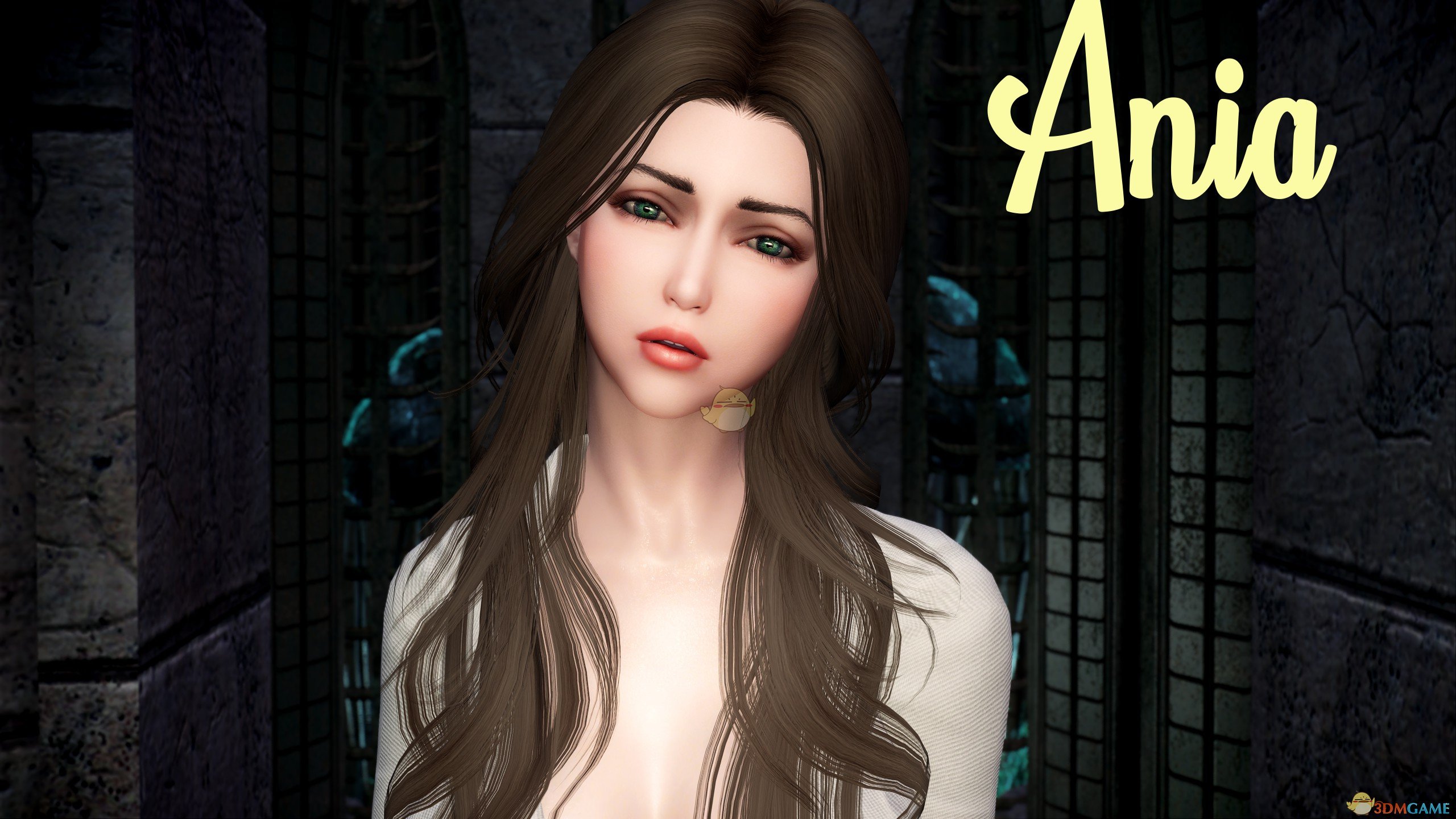 《上古卷轴5：天际》Ania美丽女性随从MOD