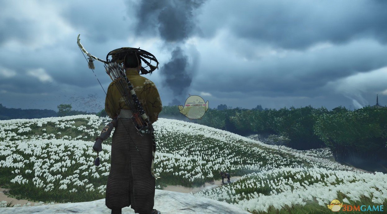 《Wallpaper Engine》对马岛之魂白色草原游戏场景动态壁纸