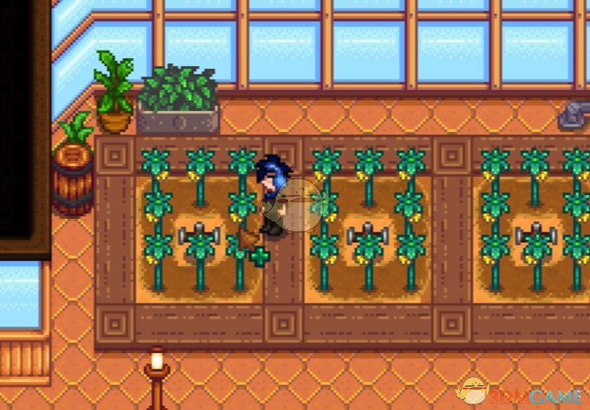 《星露谷物语》杨桃不断生长MOD