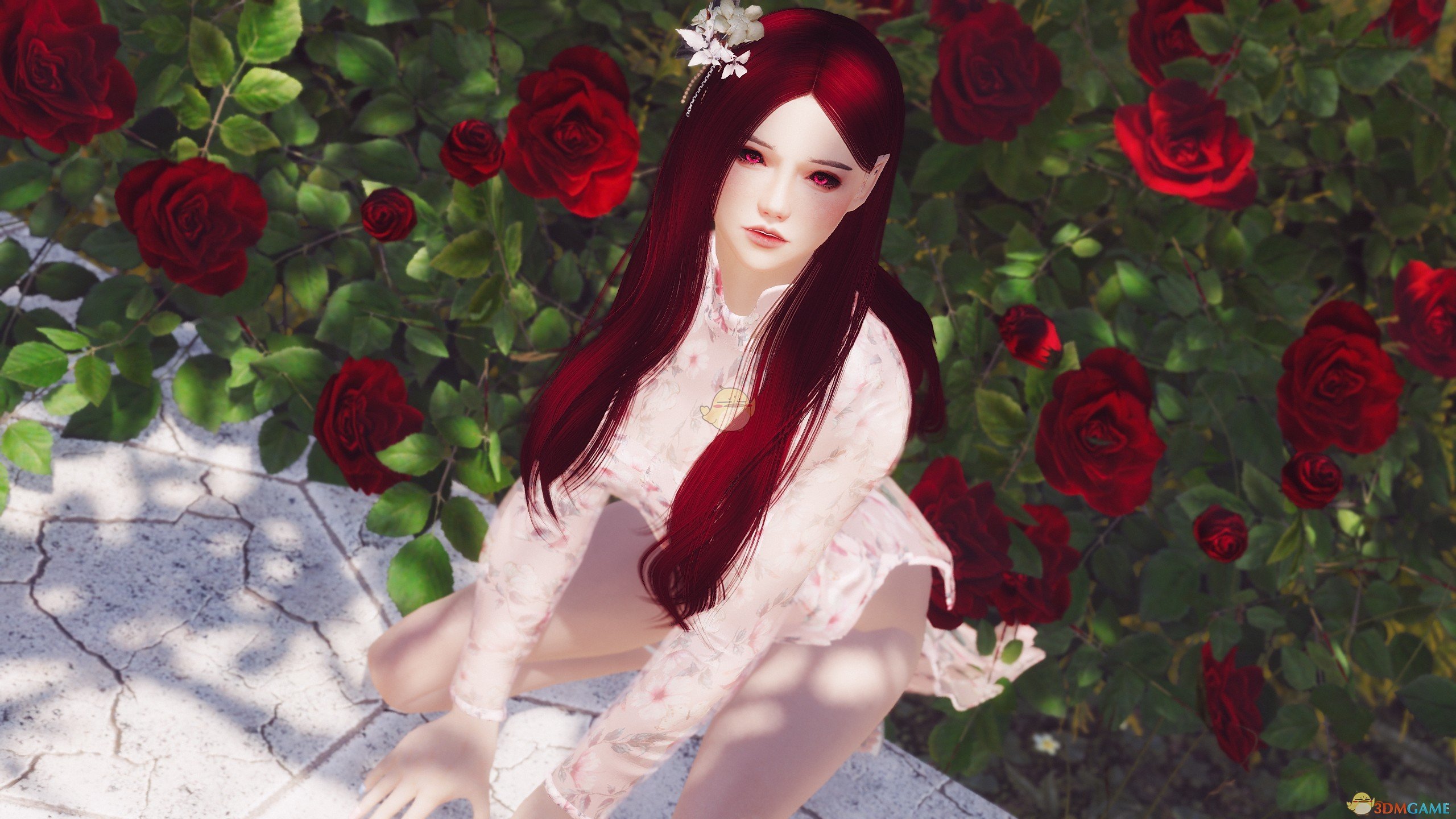 《上古卷轴5：天际》越南风性感服装MOD