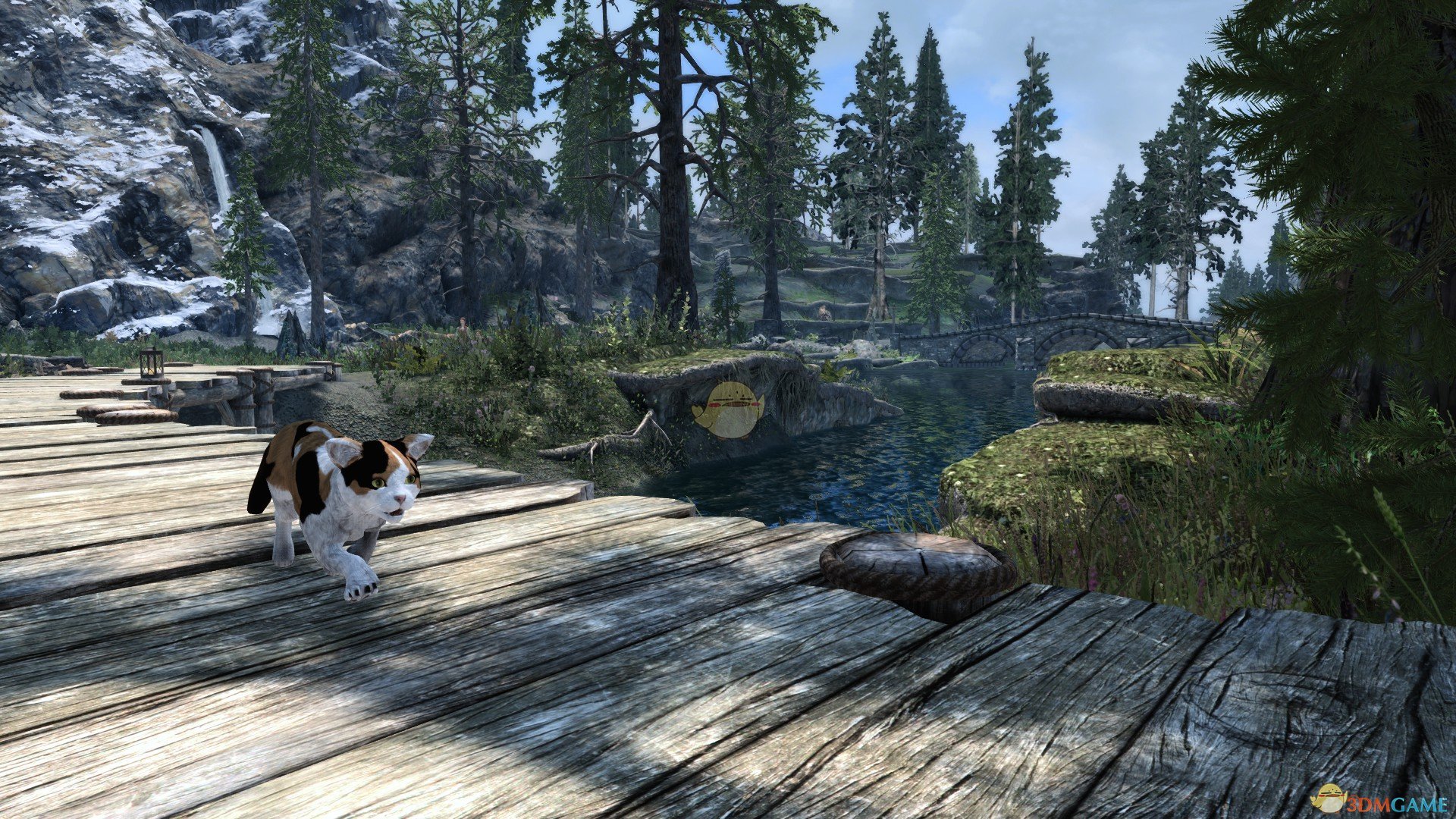 《上古卷轴5：天际》天际的猫MOD