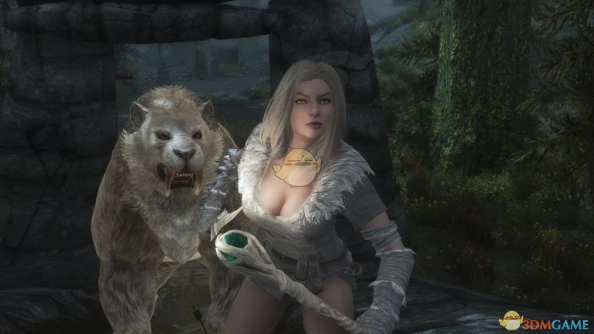 《上古卷轴5：天际》Wyress Allevia白发美丽医疗随从MOD