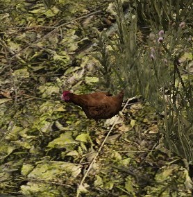 《七日杀》更多动物MOD