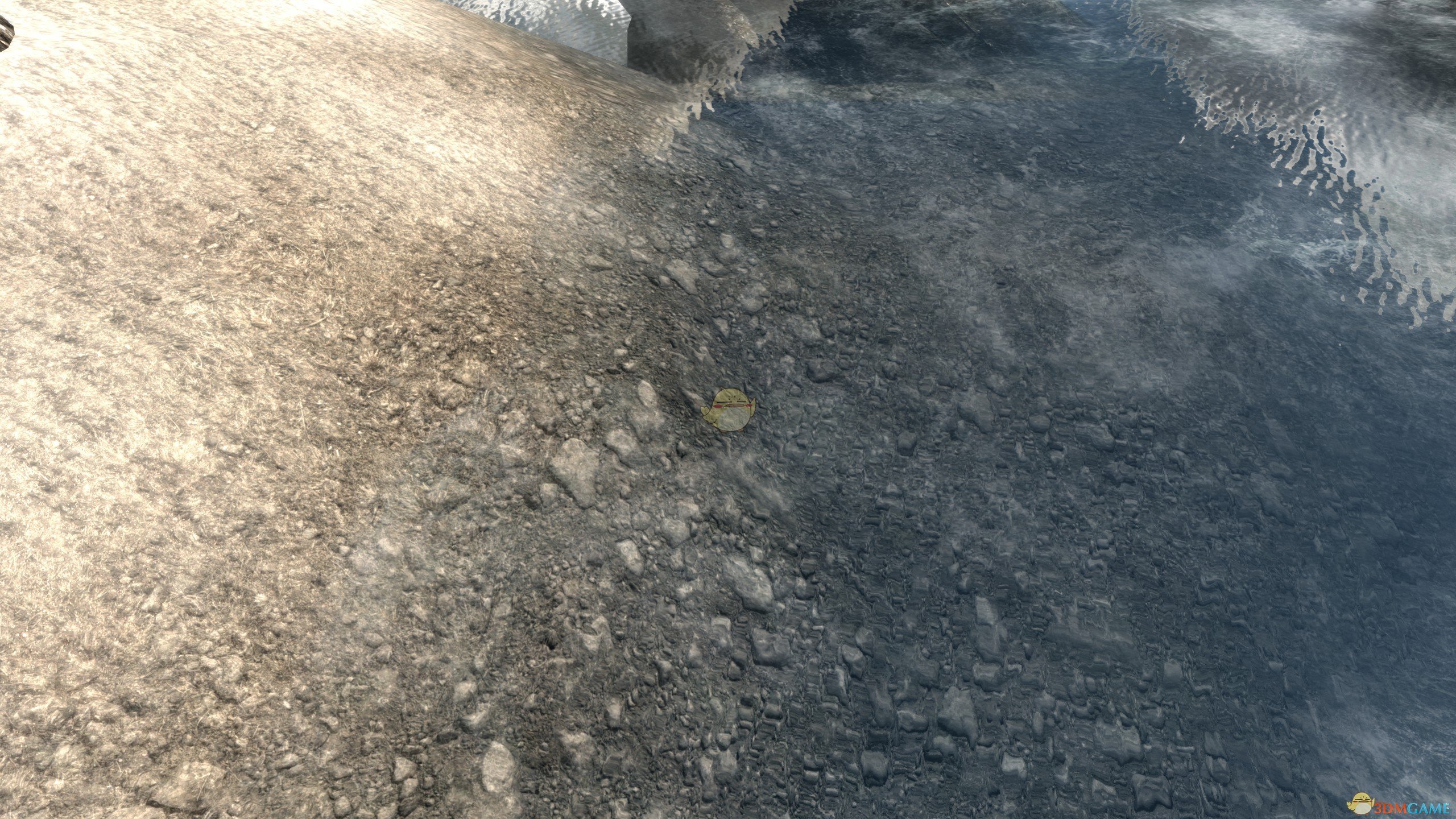 《上古卷轴5：天际重置版》高清山区水纹理MOD