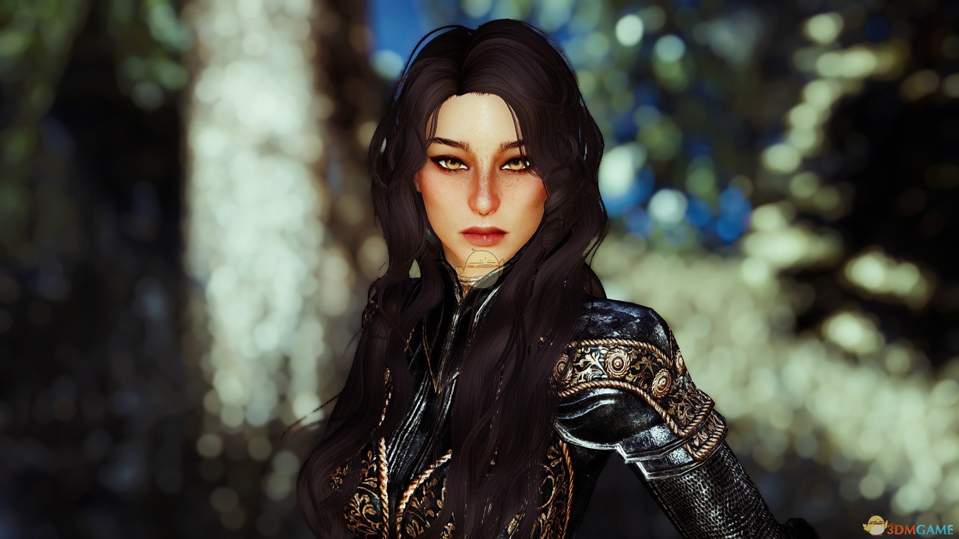 《上古卷轴5：天际》Silvia美丽女性随从MOD