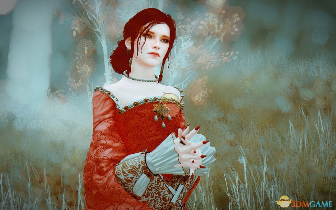 《上古卷轴5：天际重置版》中世纪伊丽莎白美丽服装MOD