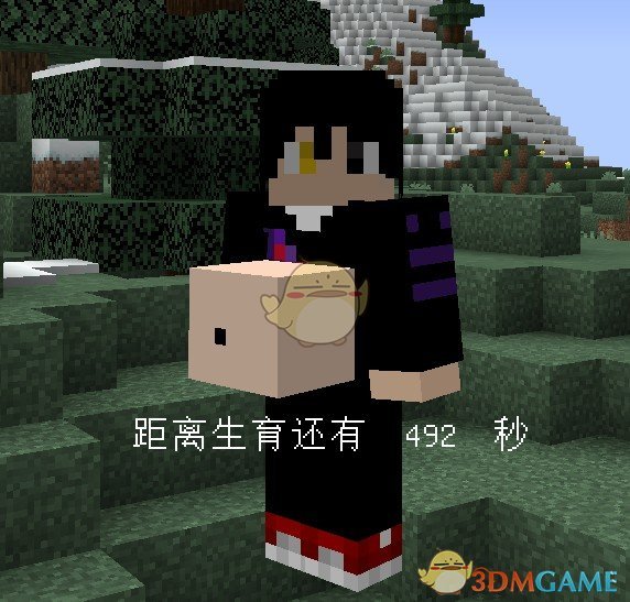 《我的世界》子母河MOD