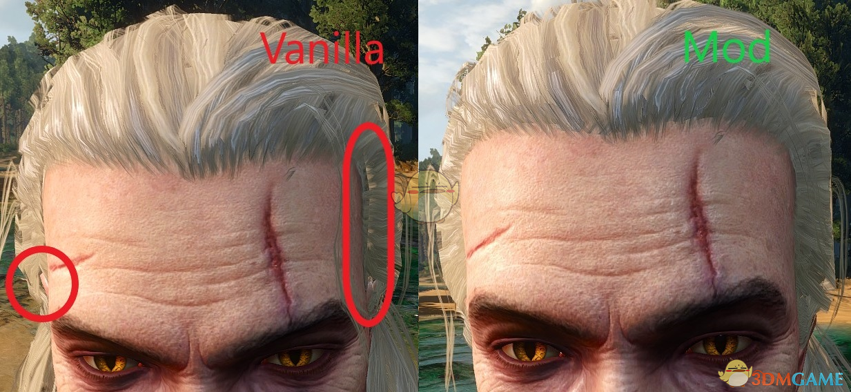 《巫师3：狂猎》头发更饱满MOD