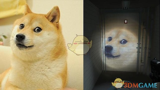 《求生之路2》doge手电筒MOD