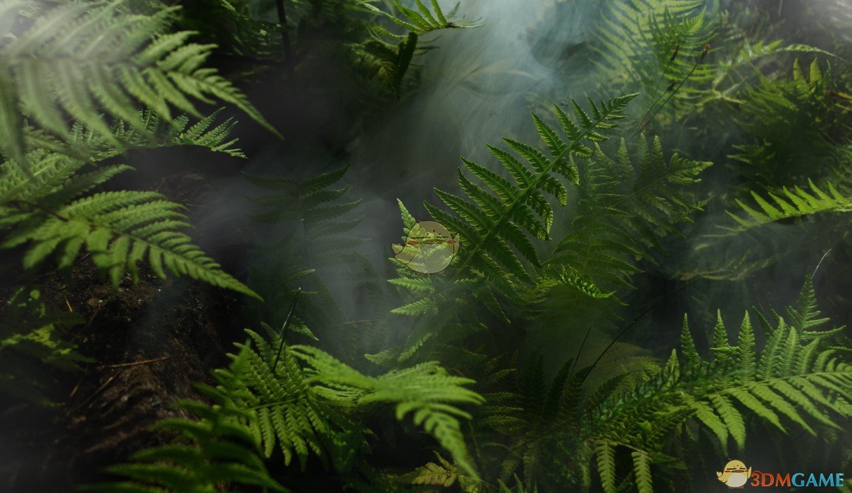 《Wallpaper Engine》雨林 - 针叶林动态壁纸