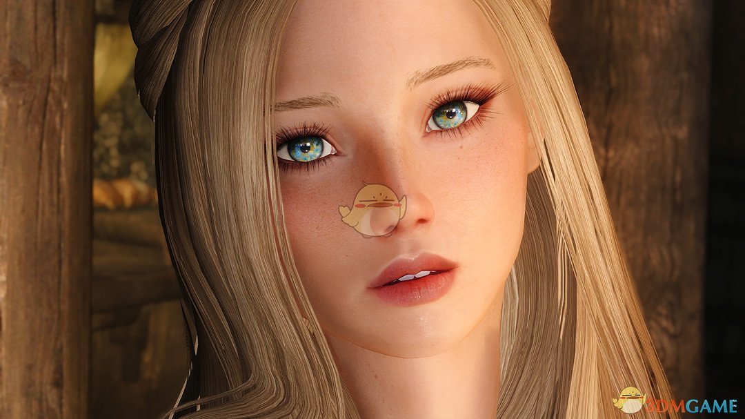 《上古卷轴5：天际重置版》Elvyra性感金发女性随从MOD