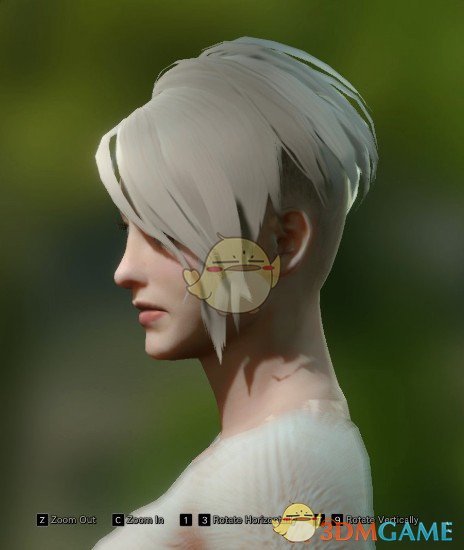 《怪物猎人：世界》银狐发型MOD