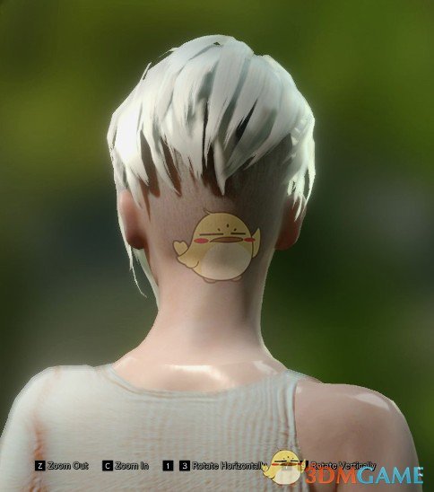 《怪物猎人：世界》银狐发型MOD