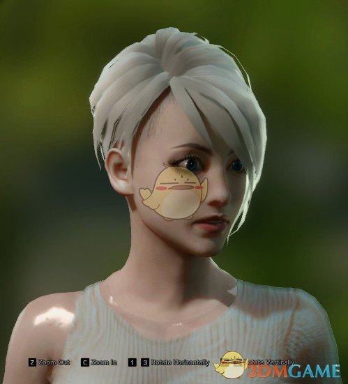 《怪物猎人：世界》银狐发型MOD