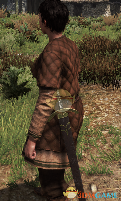 《骑马与砍杀2》卡斯嘉之剑MOD