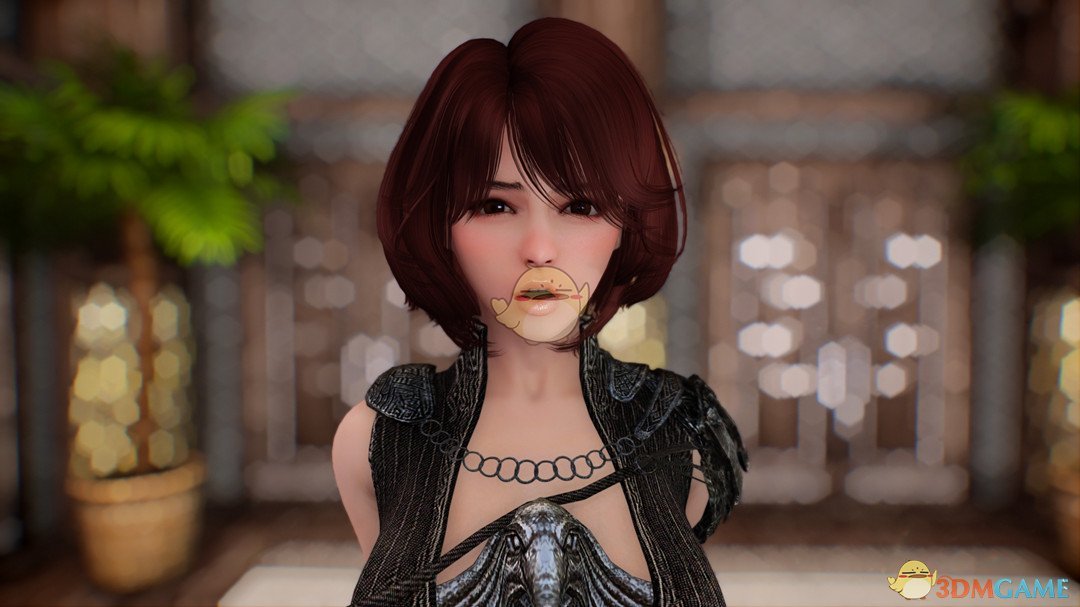 《上古卷轴5：天际》Freya双剑战士女性随从MOD