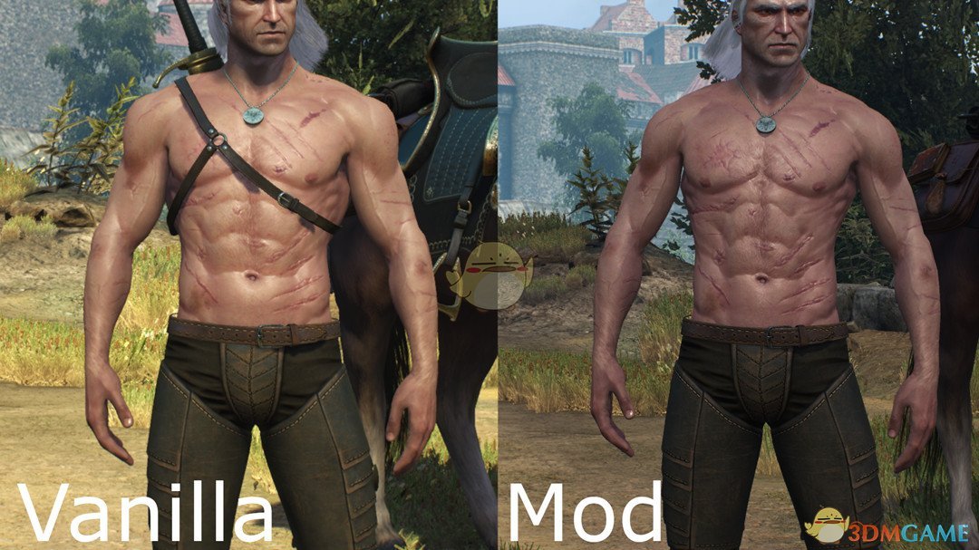 《巫师3：狂猎》杰洛特更精壮MOD