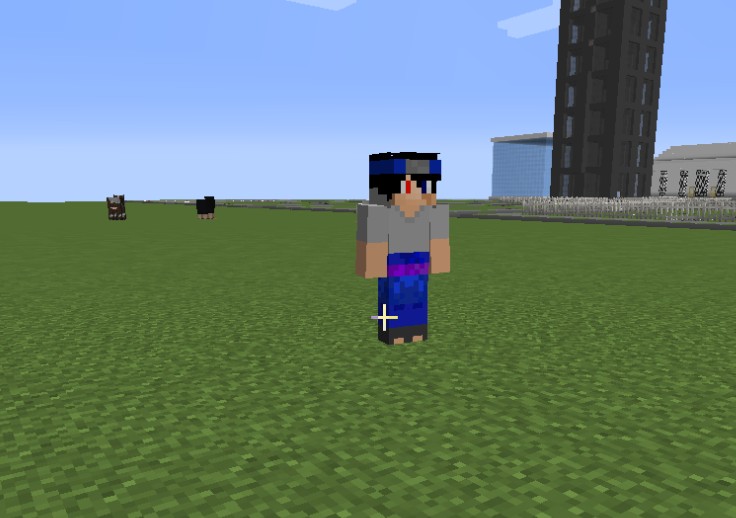 《我的世界》友好的世界MOD