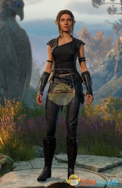 《博德之门3》女性黑色服装包MOD