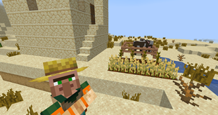 《我的世界》沙漠扩展MOD