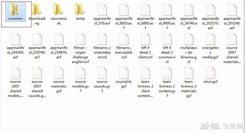 找到“steamapps ”这个文件夹下的“common”文件夹