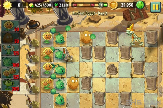 植物大战僵尸2埃及第九关3星图文攻略3