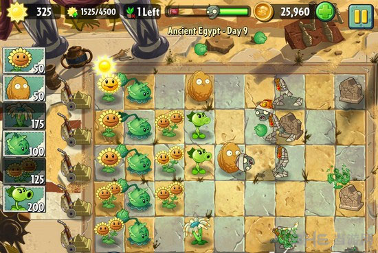 植物大战僵尸2埃及第九关3星图文攻略4