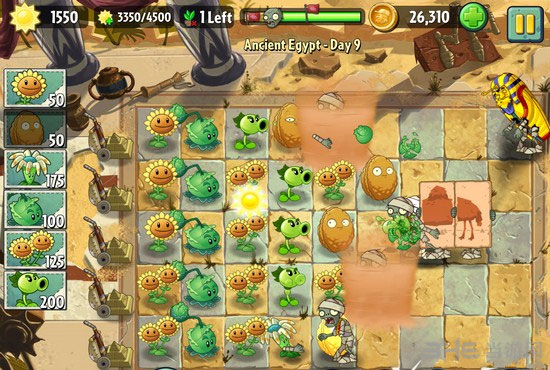 植物大战僵尸2埃及第九关3星图文攻略5