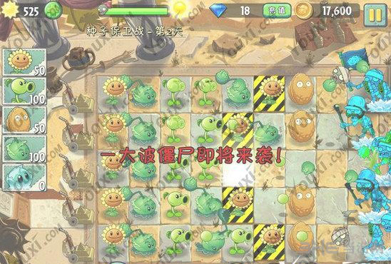 植物大战僵尸2中文版埃及种子保卫战第二天攻略