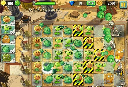 植物大战僵尸2中文版埃及种子保卫战第三天攻略