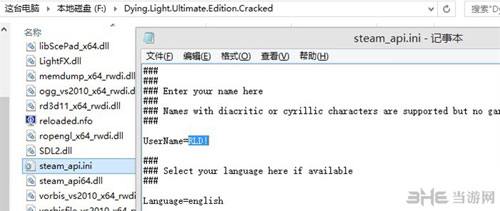 消逝的光芒怎么改名字