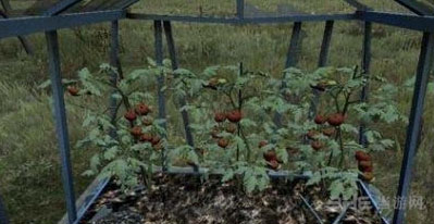 DayZ截图1