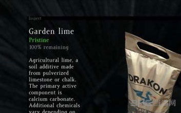 DayZ截图5