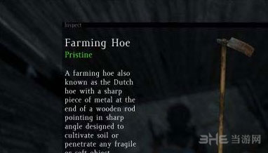 DayZ截图4