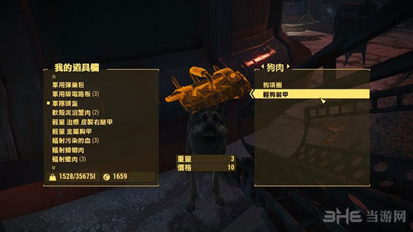 辐射4队友子弹无限1