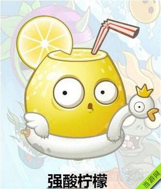 强酸柠檬