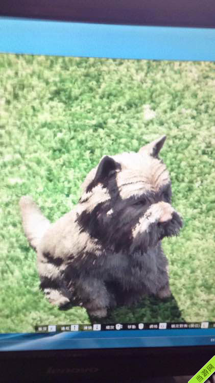 侠盗猎车手5GTA5暖心小细节 ——一只给主人献花的小狗4
