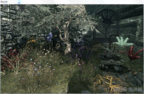 上古卷轴5植物代码效果图1