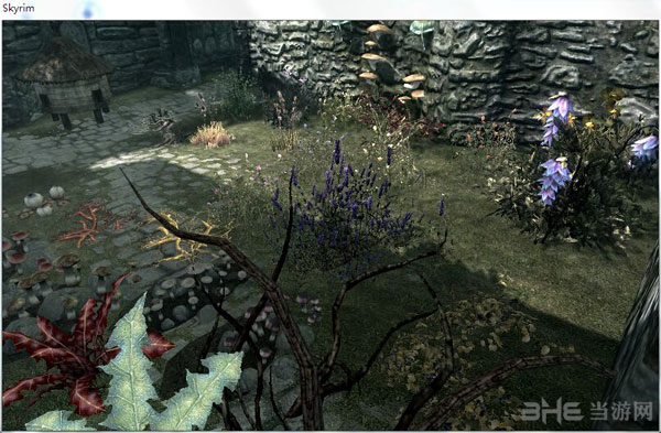 上古卷轴5植物代码效果图2