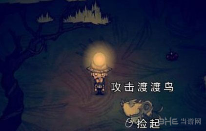 饥荒海难渡渡鸟怎么抓4