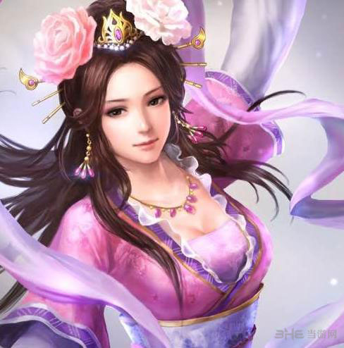 三国志13截图1