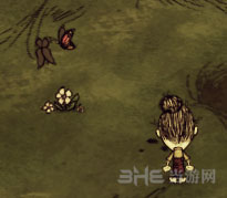 饥荒联机版截图3