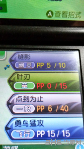 口袋妖怪日月截图2