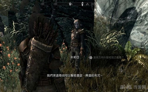 上古卷轴5游戏截图2