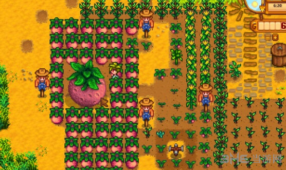星露谷物语超大作物种植攻略介绍 怎么种植超大作物1
