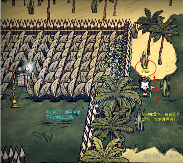 饥荒海难渡渡鸟怎么养1