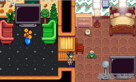 星露谷物语