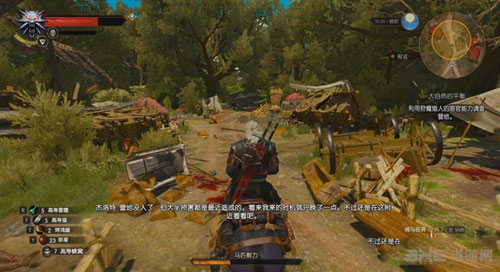 巫师3：狂猎截图3
