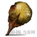 盐和避难所武器5